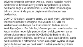 Ben sizler için her sektörde pazar araştırması yapabilirim