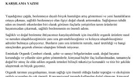 Web Sitesi İçeriği