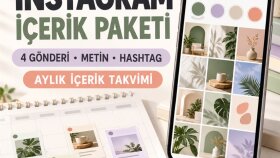 Instagram için profesyonel yönetim yapabilirim