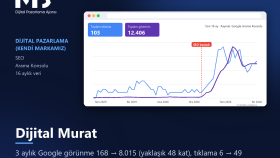 Dijital Murat SEO: Yaklaşık 48 Kat Google Gösterimi