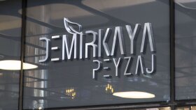Demirkaya Peyzaj logo çalışması 