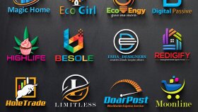 sizin için profesyonel logo tasarımı yapabilirim