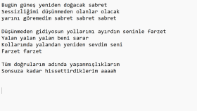 size şarkı sözü yazabilirim