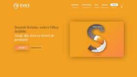 web sitesiyle ilgili herşeyi yaparım