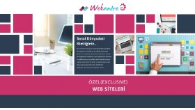 Web Tasarımı