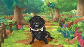 kedinizin/köpeğinizin resmini yapıyorum