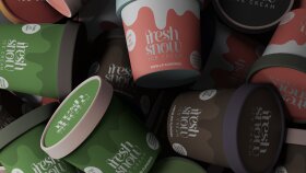 Fresh Snow Logo Tasarım