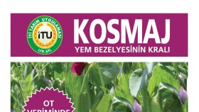 İş örneğim