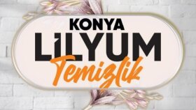 Lilyum Halı Koltuk Yıkama Merkezi Reklam Yönetimi