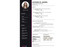 sizin için profesyonel cv hazırlayabilirim