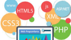 size özel web sitesi tasarlayabilirim