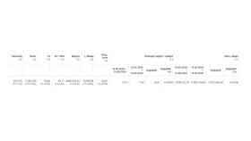 Google Ads ile E-Ticarette 21,21 ROAS ve 10.900 Dönüşüm