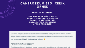 SEO Uyumlu İçerik Çalışması - 1