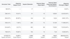 Facebook Business Reklam Performans