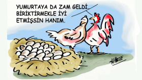 istediğiniz konuda serbest karikatür çizebilirim