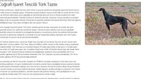 E ticaret sitesi Blog yazıları.