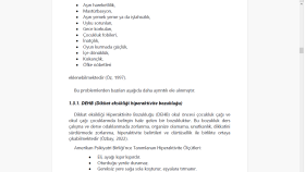 Web sitesi içerik oluşturma, akademik tez makale danışmanlığ
