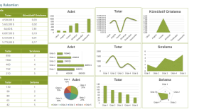 profesyonel excel raporlama dosyaları hazırlarım