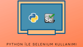 Python Seleniyum İsteğe Özel Programlama
