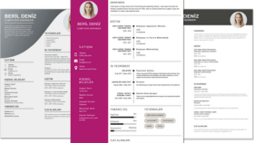 sizin için profesyonel cv oluşturabilirim