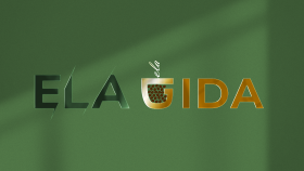 Logo Tasarımı