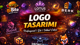 şirketinize özel profesyonel logo tasarımı yaparım