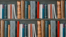 akademik projelerinize APA formatında yardımcı olurum
