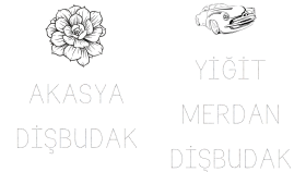 Yazı Yazma