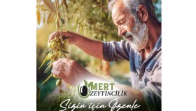 Mert Zeytin 3