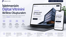 size özel profesyonel web yazılımı geliştirebilirim