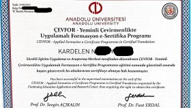 Yeminli Çevirmenlikte Uygulamalı Formasyon