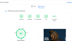 kusursuz web yazılım, teknik seo ve hız opt. yapıyorum