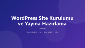 wordpress sitenizi kurar ve yayına hazırlarım