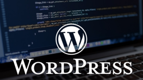 WordPress sitenizin kurulumunu yapabilirim