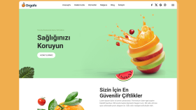 Web Sitesi Tasarımı