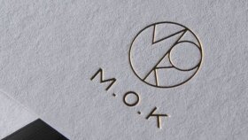 profesyonel olarak logo tasarımı yapabilirim