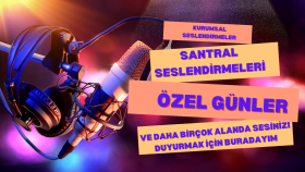profesyonel seslendirme yaparım