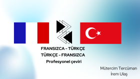 fransızca çeviri yaparım
