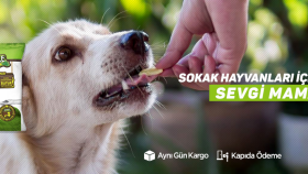 Mamanız Yolda Banner Tasarımı