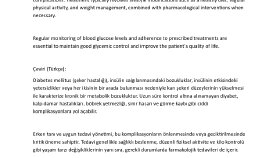 İngilizce-Türkçe profesyonel çeviri