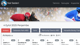 Atyarışı Uzun Dönem İstatistikleri - Nalsesleri.com