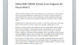 İş örneğim