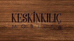özgün logo tasarımı yaparım