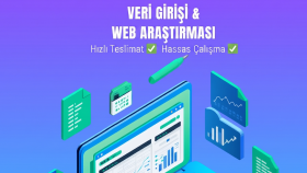 veri girişi ve web araştırması yapabilirim