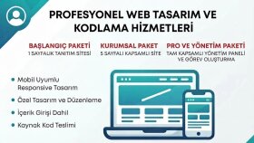 özel kodlanmış modern web sitesi yapıyorum