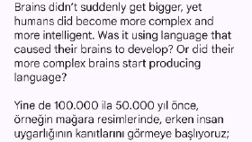 Online Çeviri 
