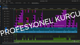 premiere ile videolarınızı izlenebilir hale getirebilirim