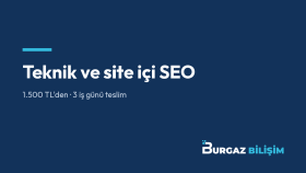 sitenizin teknik ve site içi SEO ayarlarını yaparım