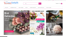 profesyonel web siteleri yapıyorum
