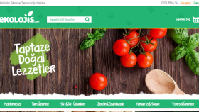 "Ekolojis" - HTML CSS